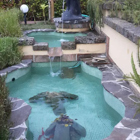 Letizia Bed & Breakfast Pineta